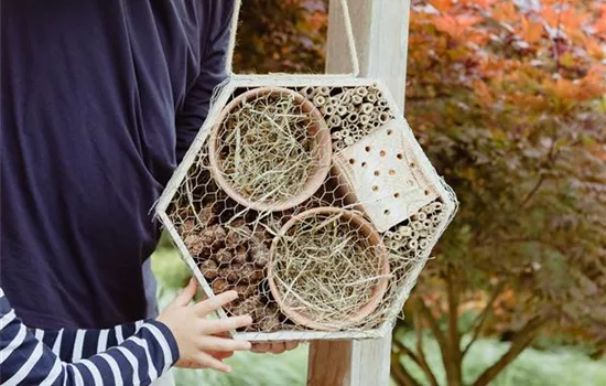 Ein Insektenhotel im Garten - Urlaub für kleine Nützlinge.